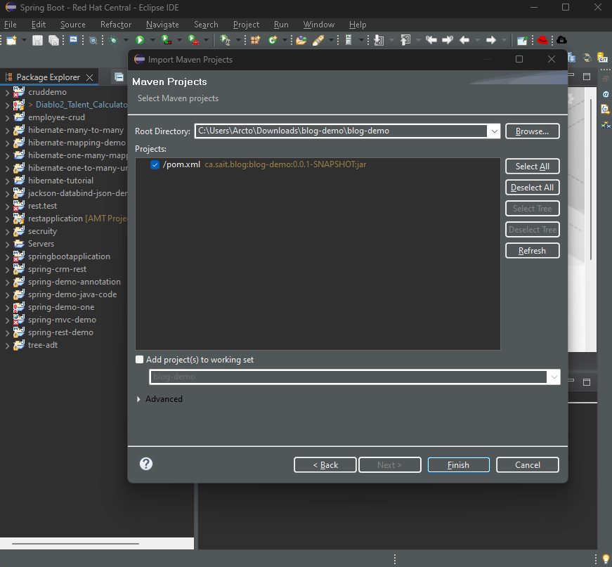 Java import Maven Project